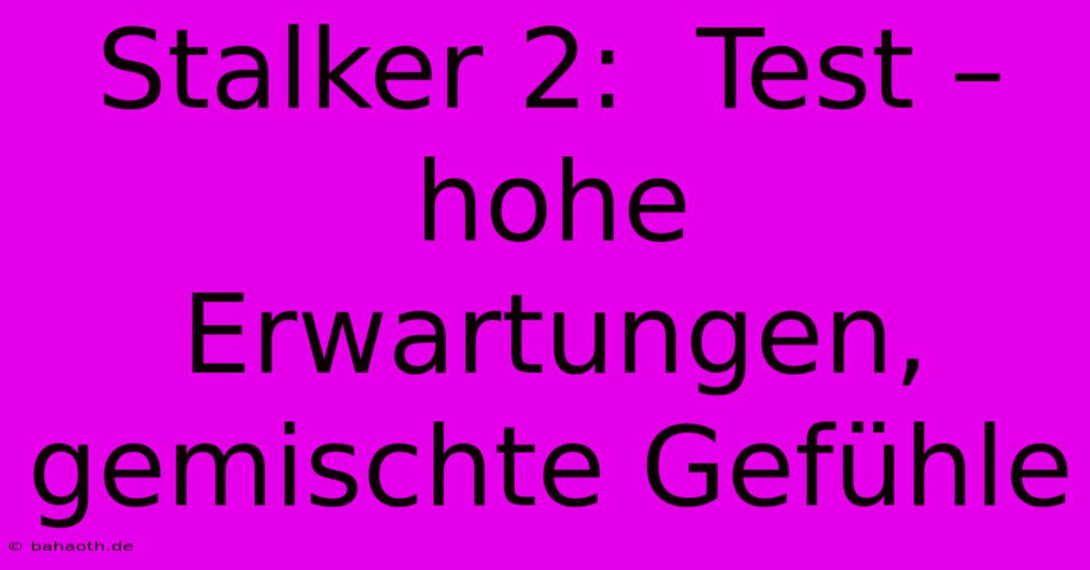 Stalker 2:  Test –  Hohe Erwartungen, Gemischte Gefühle