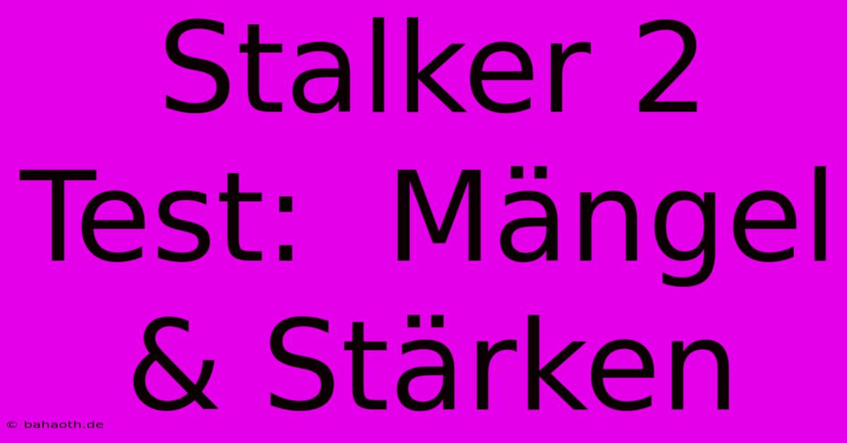 Stalker 2 Test:  Mängel & Stärken