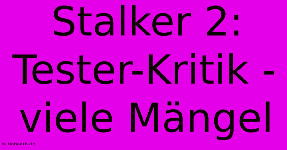 Stalker 2: Tester-Kritik - Viele Mängel