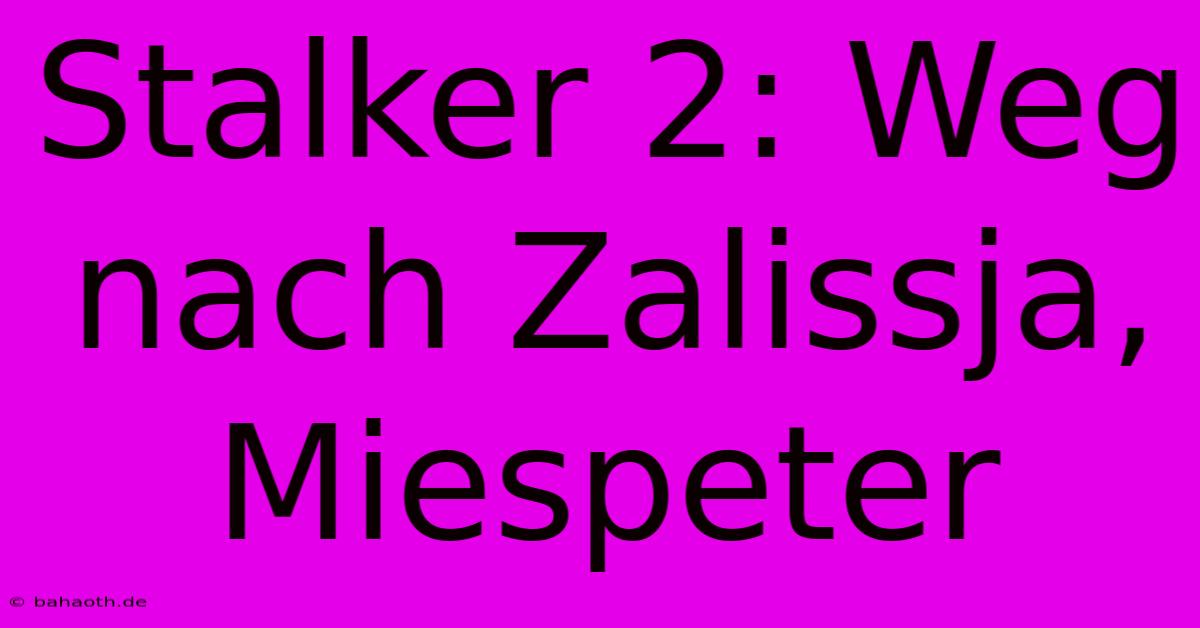 Stalker 2: Weg Nach Zalissja, Miespeter