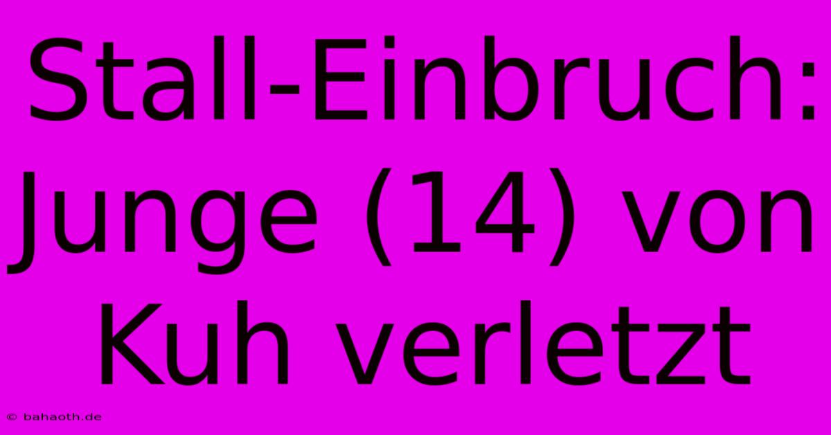 Stall-Einbruch: Junge (14) Von Kuh Verletzt