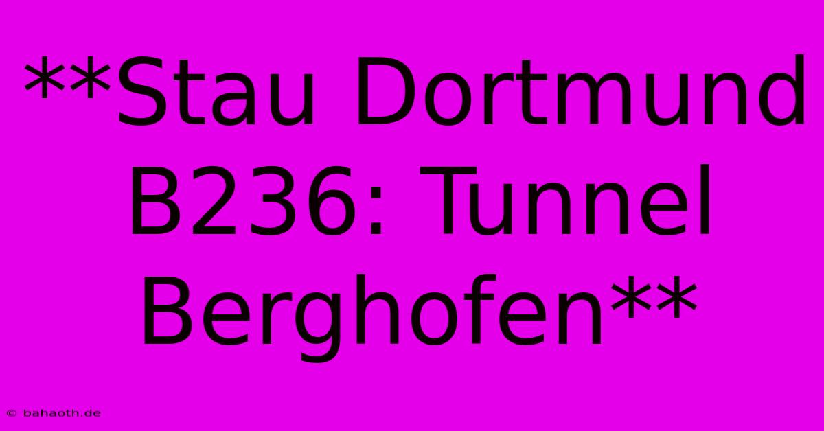 **Stau Dortmund B236: Tunnel Berghofen**