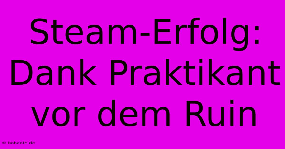 Steam-Erfolg: Dank Praktikant Vor Dem Ruin