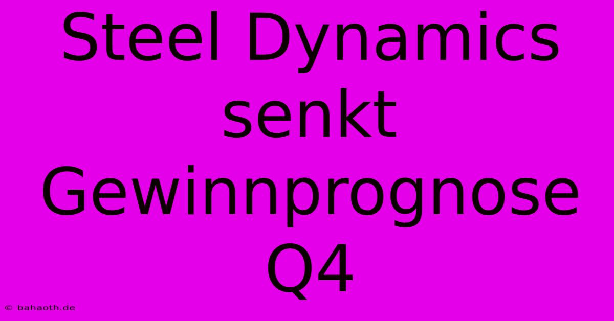 Steel Dynamics Senkt Gewinnprognose Q4