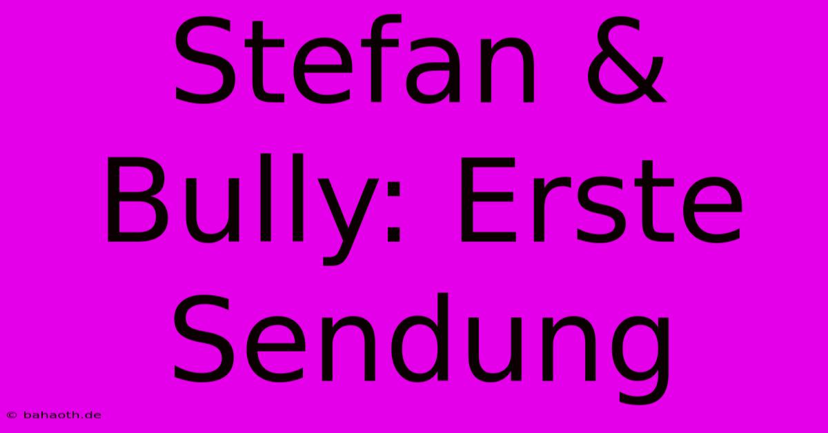 Stefan & Bully: Erste Sendung