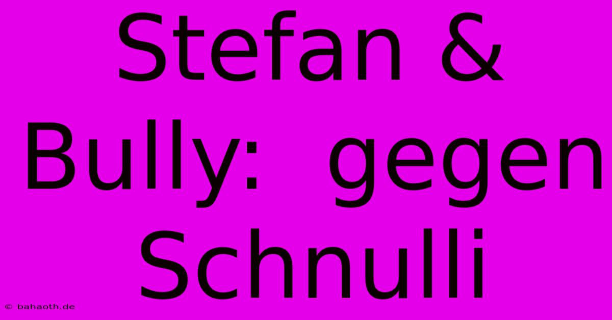 Stefan & Bully:  Gegen Schnulli