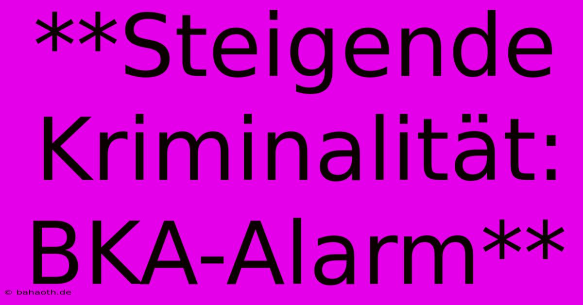 **Steigende Kriminalität: BKA-Alarm**