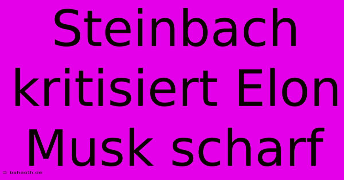 Steinbach Kritisiert Elon Musk Scharf