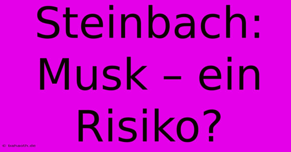 Steinbach: Musk – Ein Risiko?