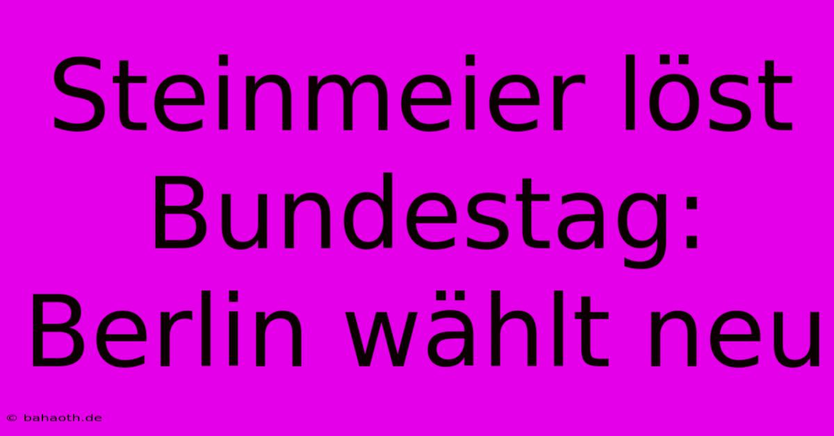 Steinmeier Löst Bundestag: Berlin Wählt Neu