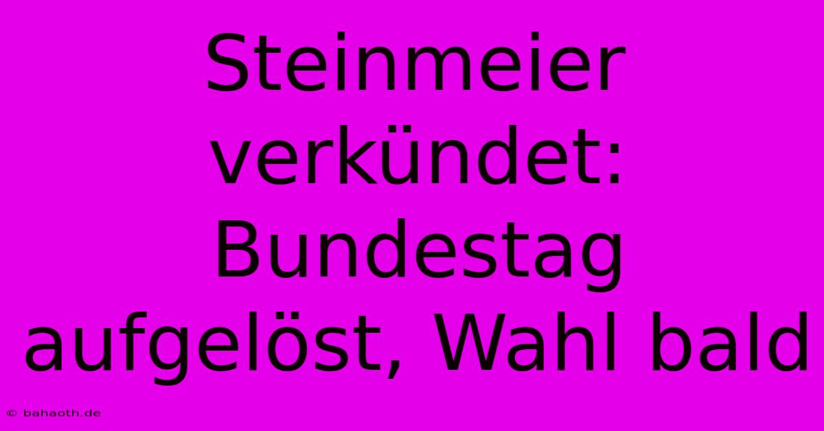Steinmeier Verkündet: Bundestag Aufgelöst, Wahl Bald