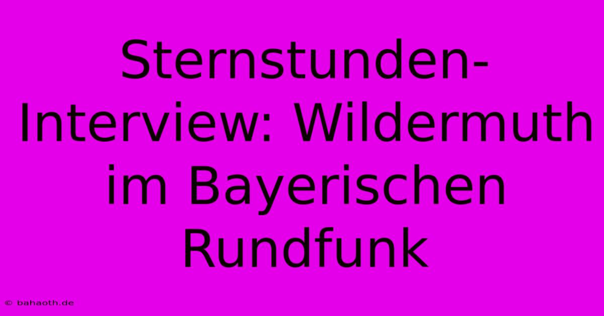 Sternstunden-Interview: Wildermuth Im Bayerischen Rundfunk