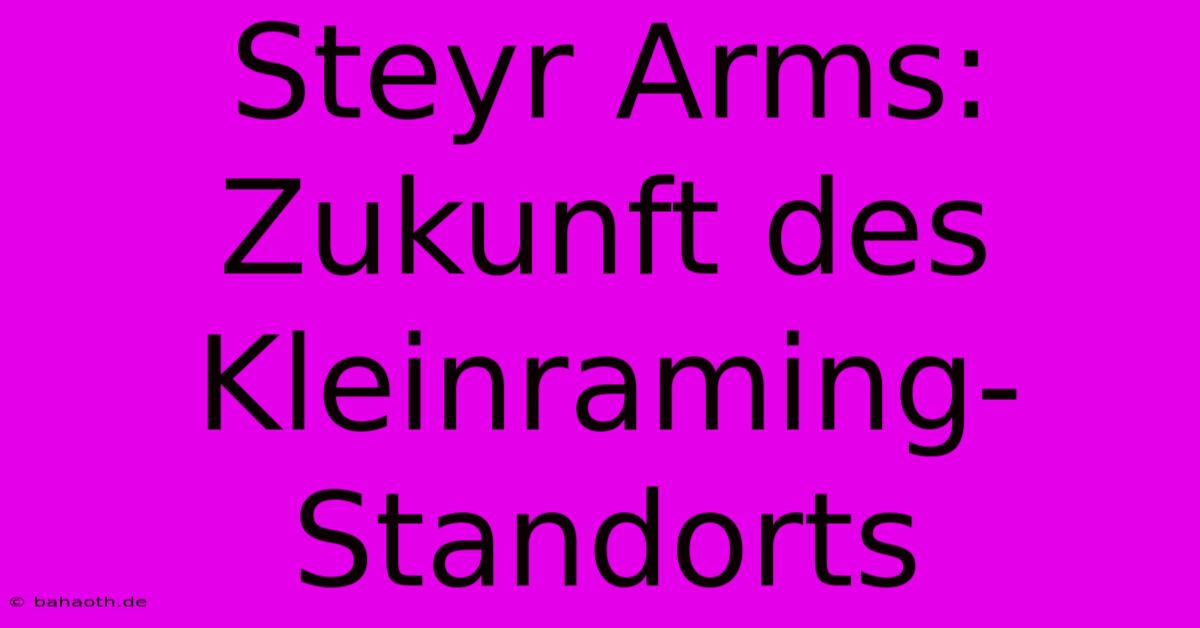 Steyr Arms: Zukunft Des Kleinraming-Standorts