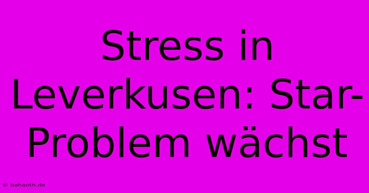 Stress In Leverkusen: Star-Problem Wächst