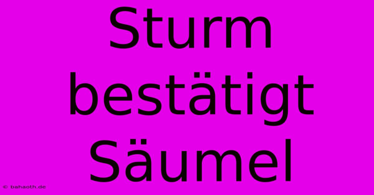 Sturm Bestätigt Säumel