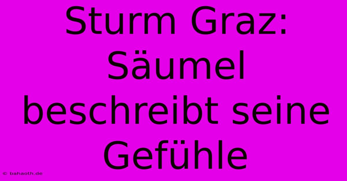 Sturm Graz: Säumel Beschreibt Seine Gefühle