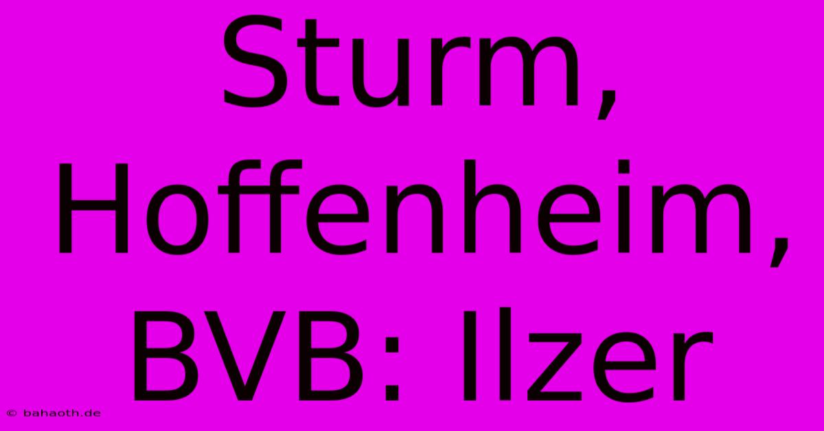 Sturm, Hoffenheim, BVB: Ilzer