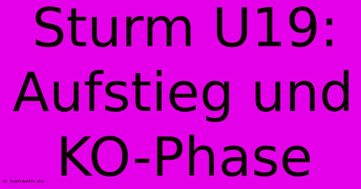 Sturm U19: Aufstieg Und KO-Phase