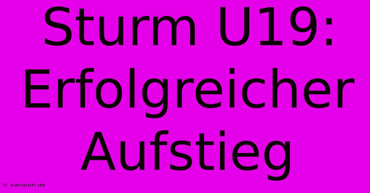 Sturm U19:  Erfolgreicher Aufstieg