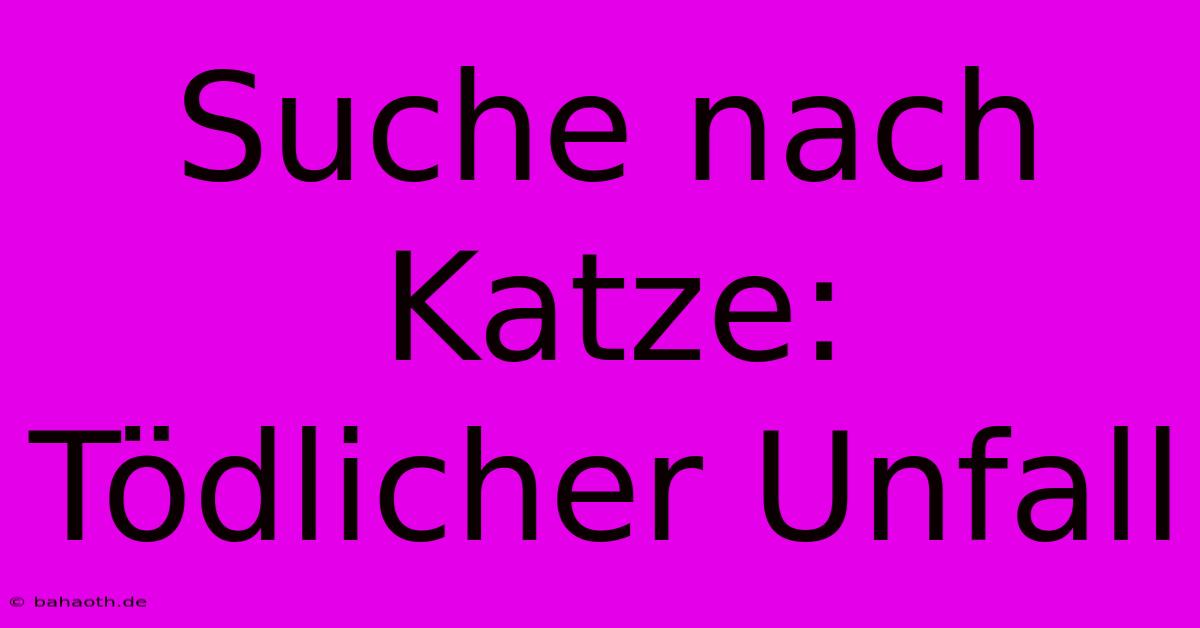 Suche Nach Katze: Tödlicher Unfall