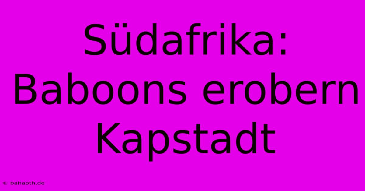 Südafrika: Baboons Erobern Kapstadt