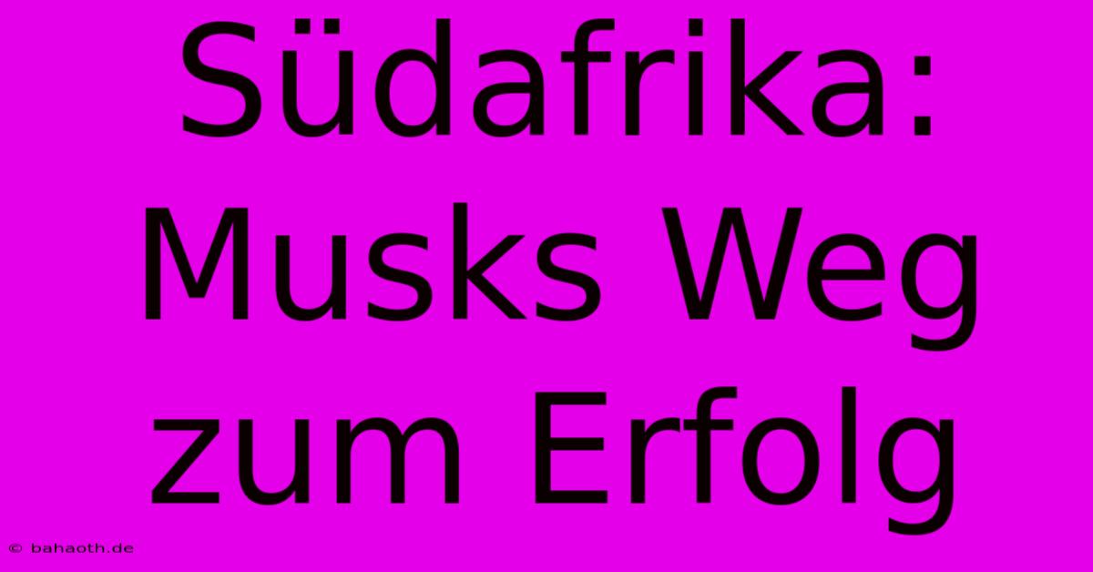 Südafrika: Musks Weg Zum Erfolg