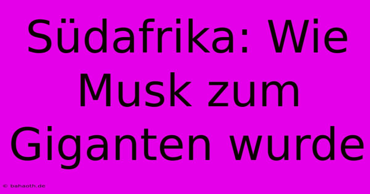 Südafrika: Wie Musk Zum Giganten Wurde