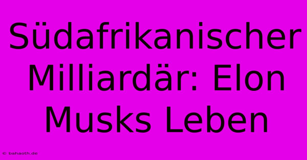 Südafrikanischer Milliardär: Elon Musks Leben