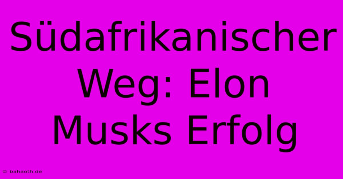 Südafrikanischer Weg: Elon Musks Erfolg