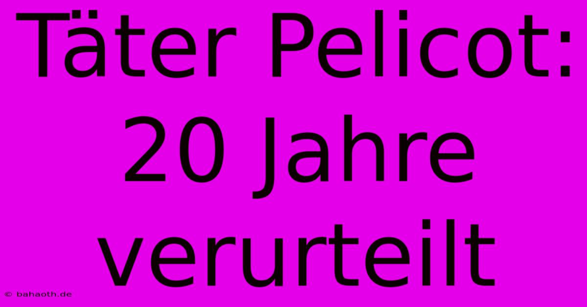 Täter Pelicot: 20 Jahre Verurteilt