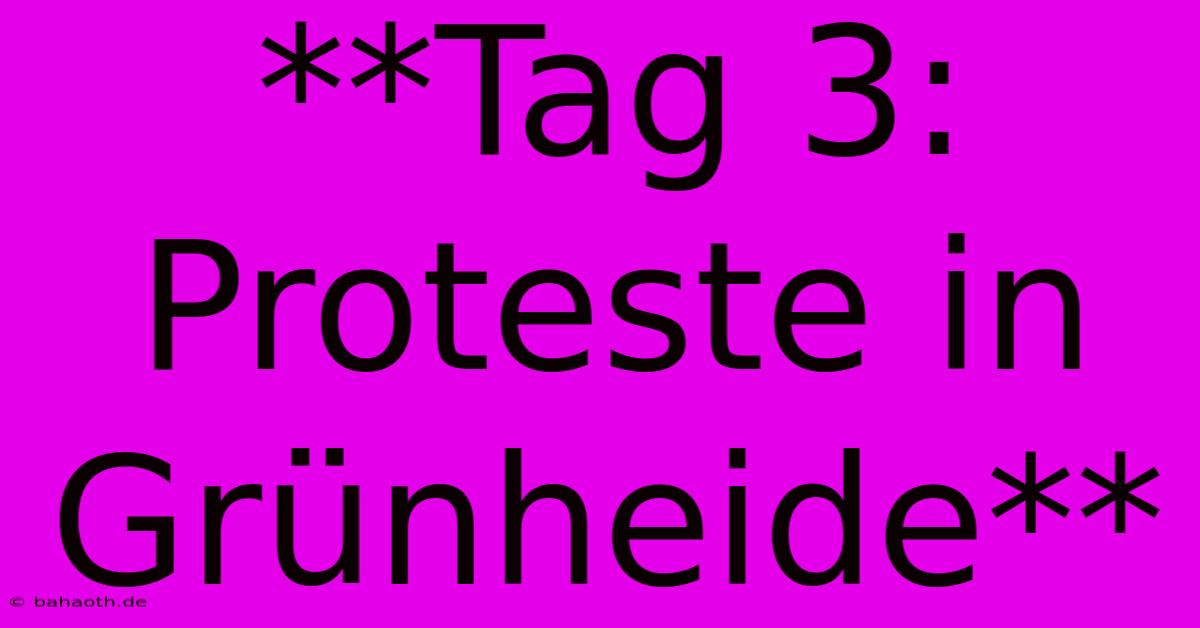 **Tag 3: Proteste In Grünheide**