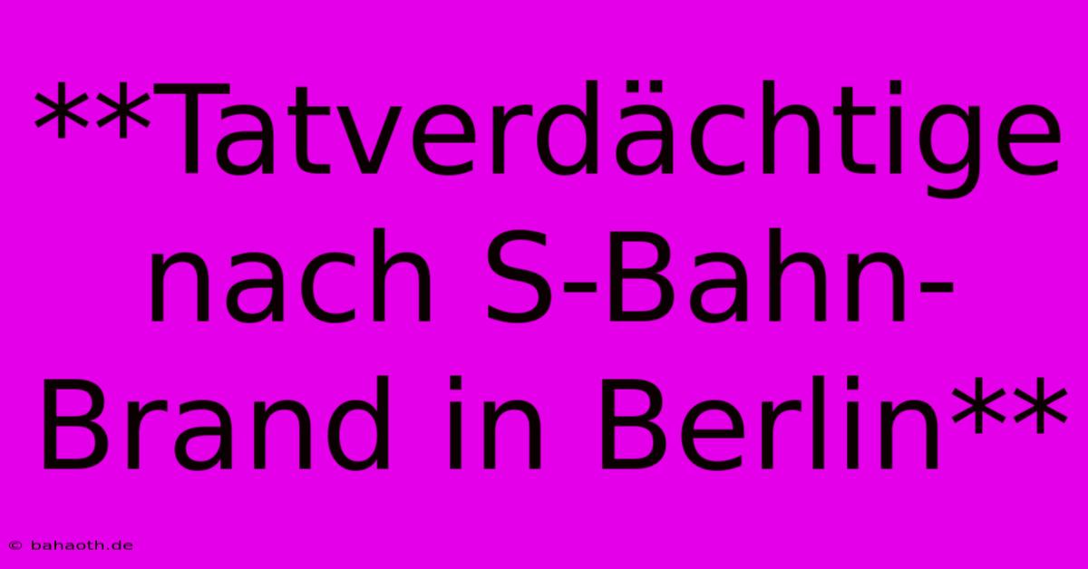 **Tatverdächtige Nach S-Bahn-Brand In Berlin**