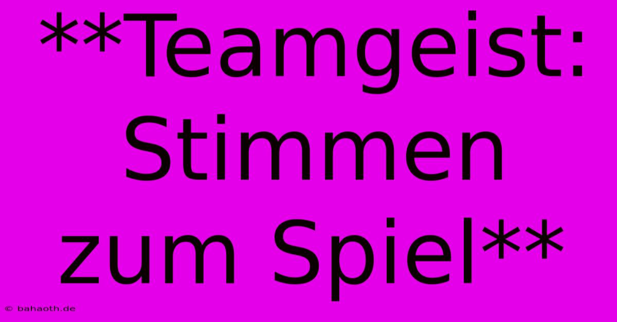 **Teamgeist: Stimmen Zum Spiel**