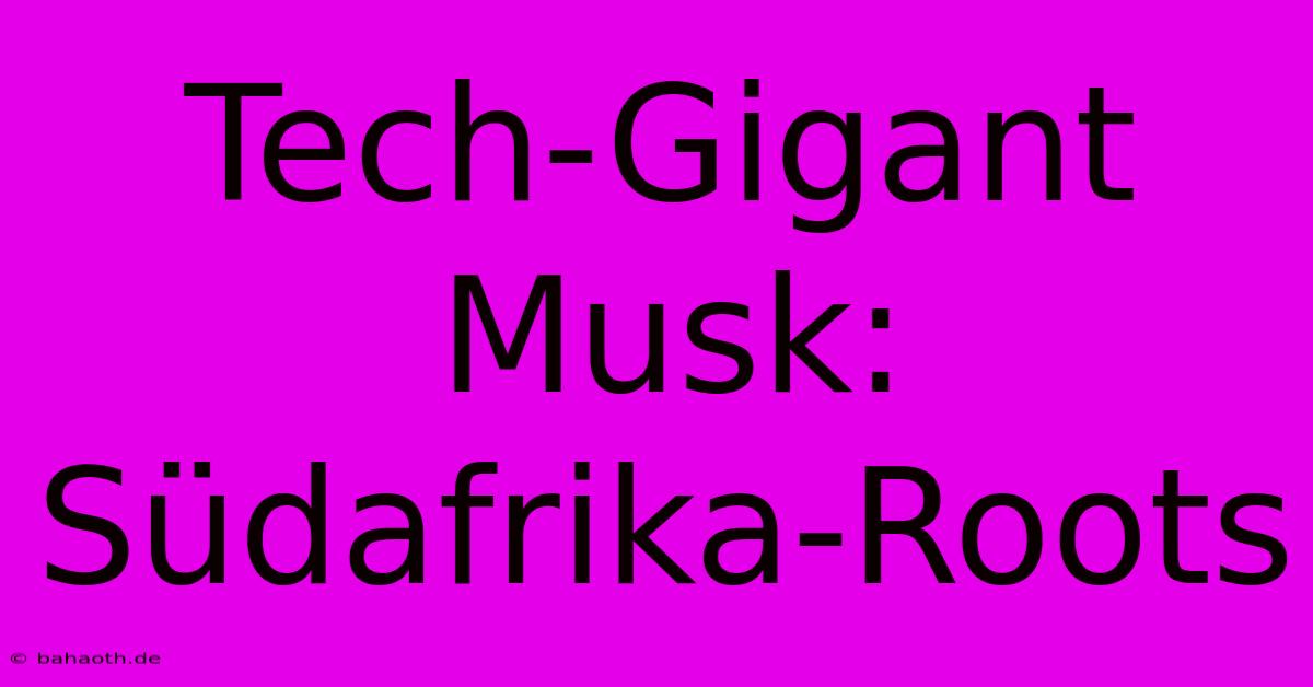 Tech-Gigant Musk: Südafrika-Roots