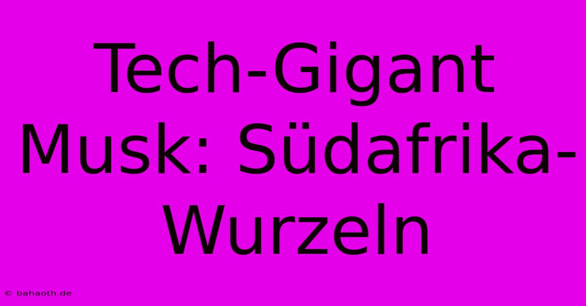 Tech-Gigant Musk: Südafrika-Wurzeln