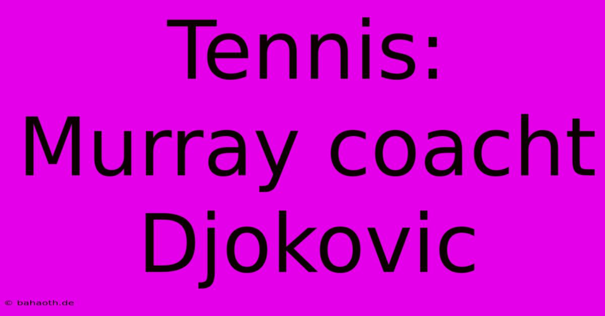 Tennis: Murray Coacht Djokovic