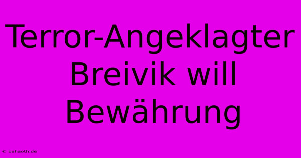 Terror-Angeklagter Breivik Will Bewährung