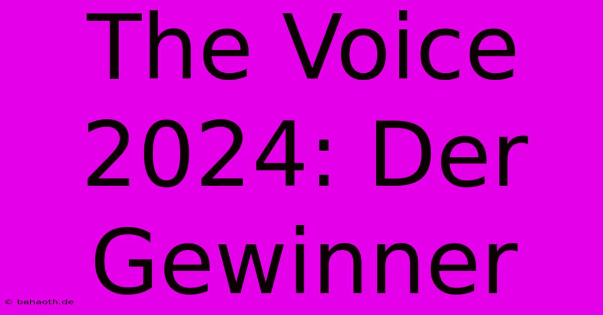 The Voice 2024: Der Gewinner