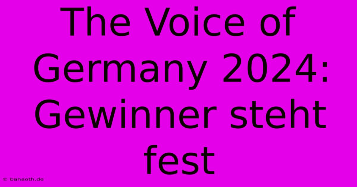 The Voice Of Germany 2024: Gewinner Steht Fest