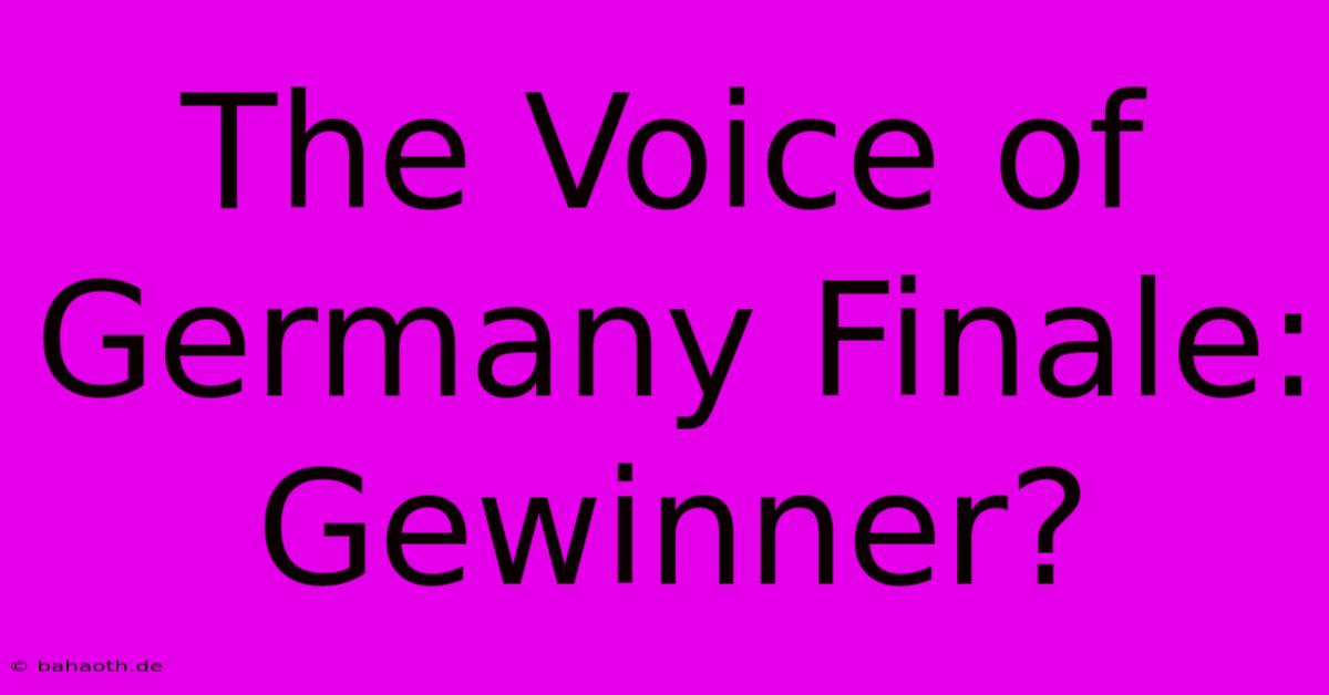 The Voice Of Germany Finale: Gewinner?