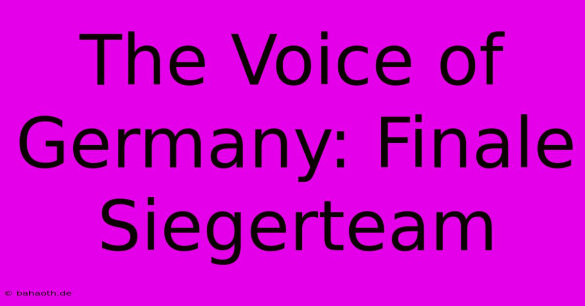 The Voice Of Germany: Finale Siegerteam