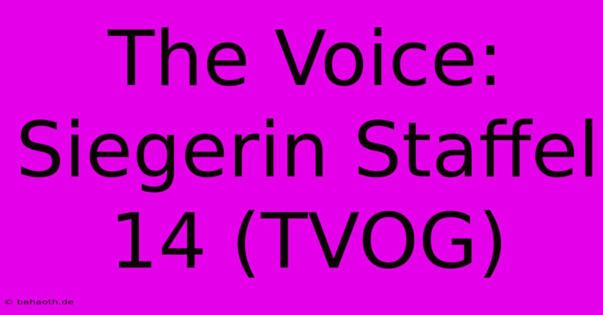 The Voice:  Siegerin Staffel 14 (TVOG)