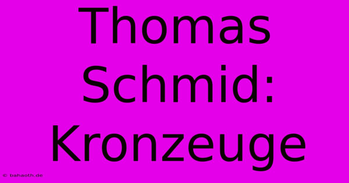 Thomas Schmid: Kronzeuge