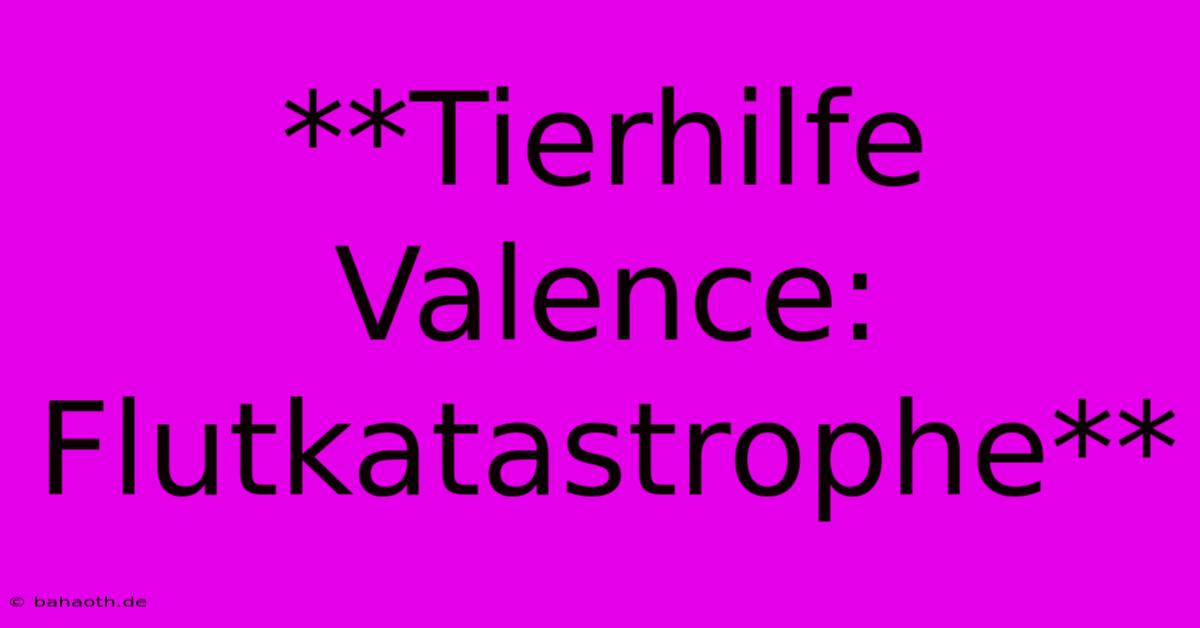 **Tierhilfe Valence: Flutkatastrophe**