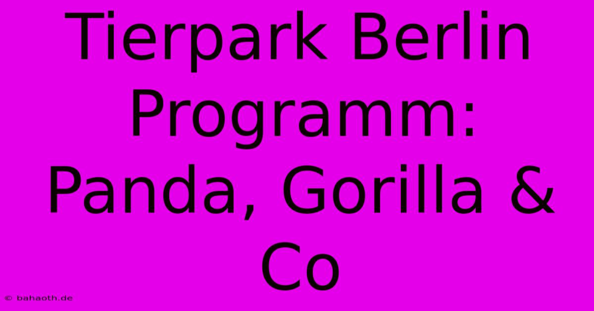 Tierpark Berlin Programm: Panda, Gorilla & Co