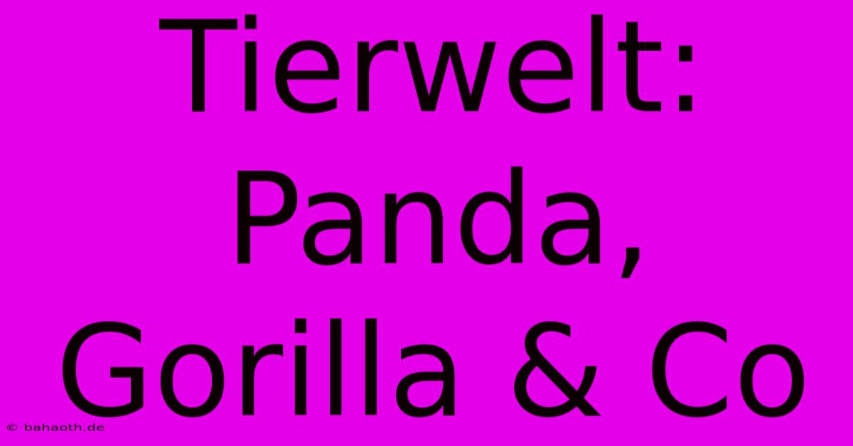 Tierwelt: Panda, Gorilla & Co