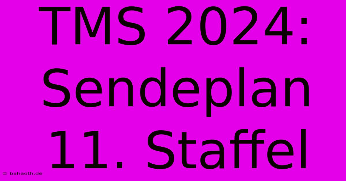 TMS 2024: Sendeplan 11. Staffel