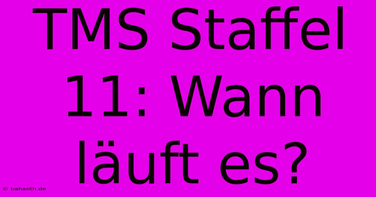 TMS Staffel 11: Wann Läuft Es?