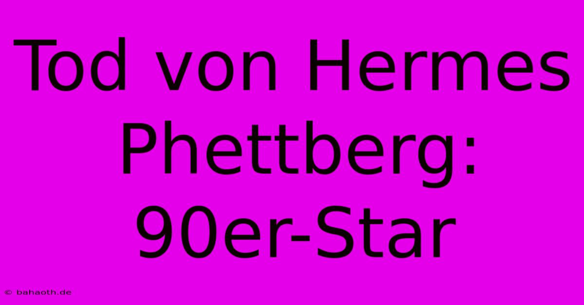 Tod Von Hermes Phettberg: 90er-Star