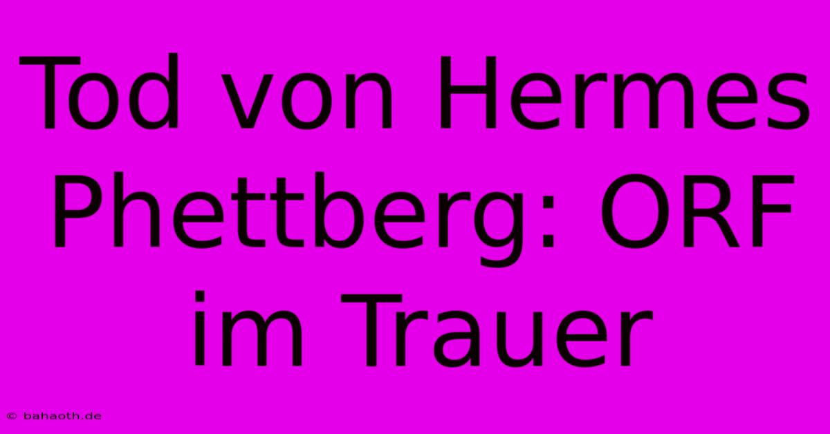 Tod Von Hermes Phettberg: ORF Im Trauer